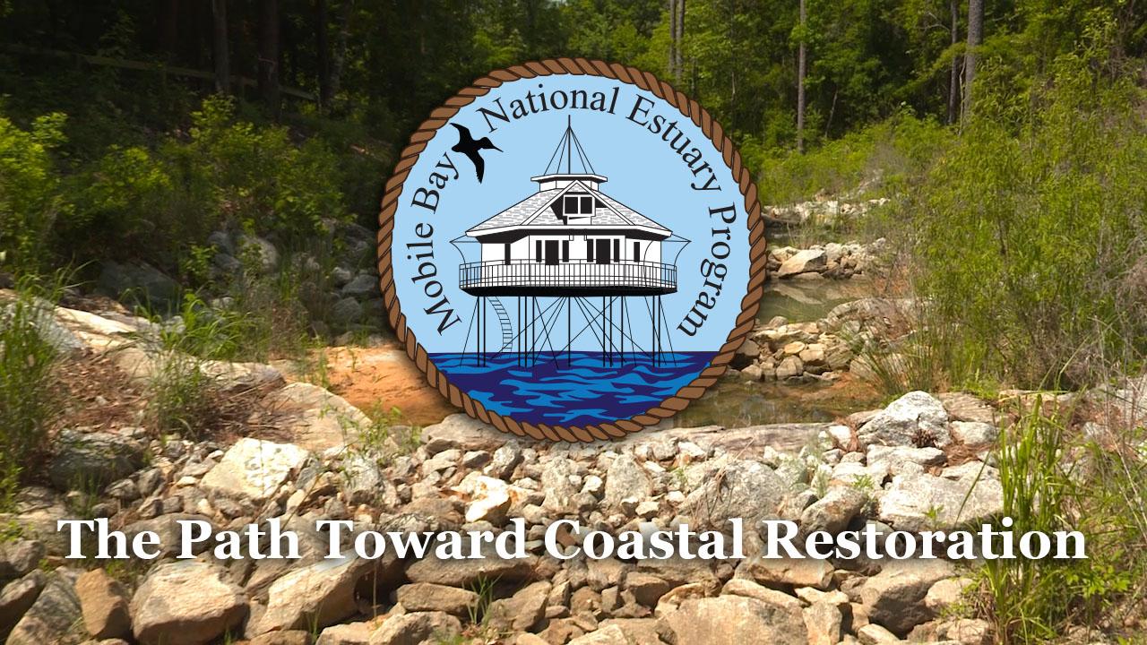 The Path Toward Coastal Restoration Video